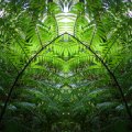 002_Farntor