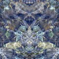 006_Wasserkobolde_a