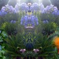 012_Wichtelcollage