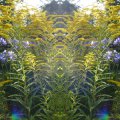 013_Hüter_ des_Gartens