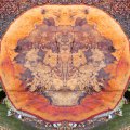 056_Baumschnitt-1k