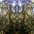057_Tasmania_4k
